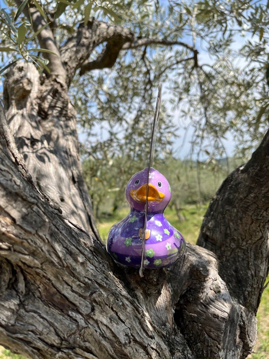 Luxury LAVENDER DUCK - luxe badeendje budduck.com lavendel 10cm