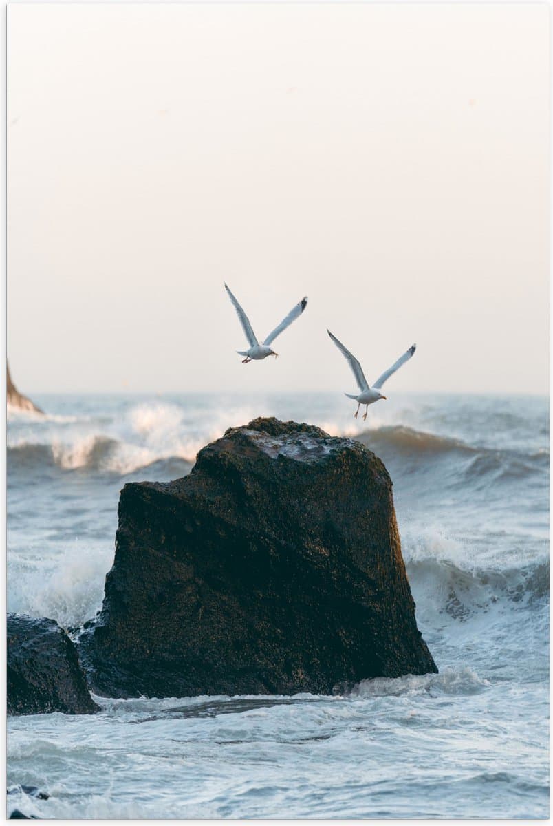 Poster Glanzend – Twee Meeuwen Vliegend boven Rots - 50x75 cm Foto op Posterpapier met Glanzende Afwerking
