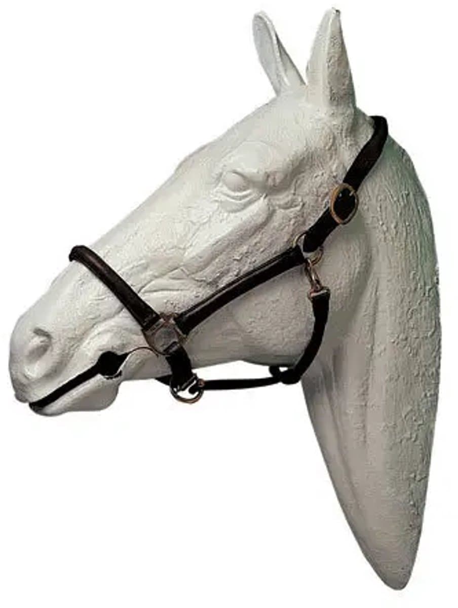 Rijhalster Hispano Hipica