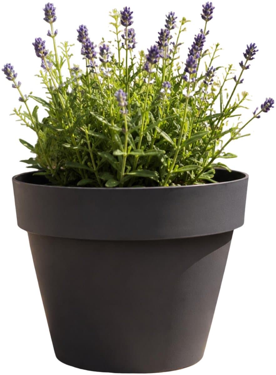EDA Romeo Bloempot / plantenpot - kunststof - antraciet - D25 x H20 cm - binnen en buiten