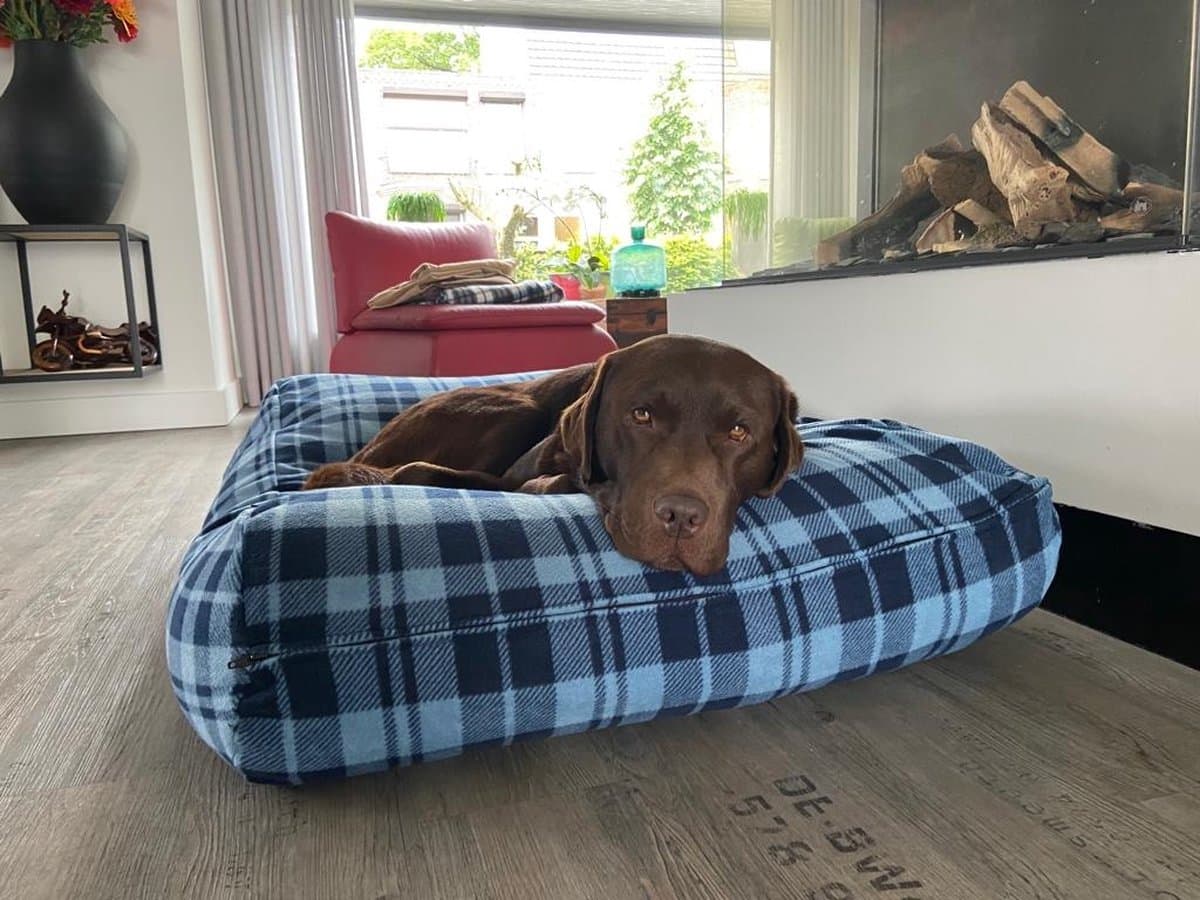 Dog's Companion Hondenkussen / Hondenbed - L - 115 x 85 cm - Fleece Cosy Blue