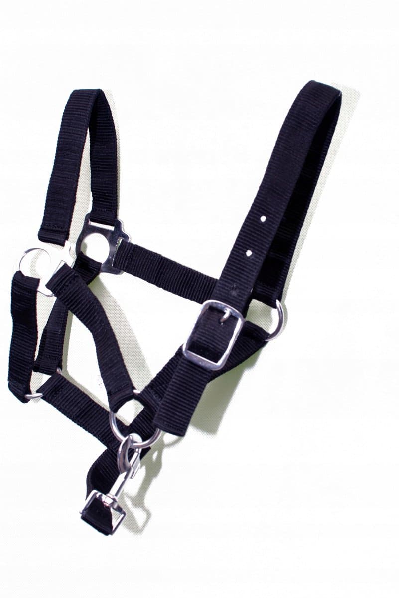 Kantar Paard York Milo Zwart Pony Maat 1