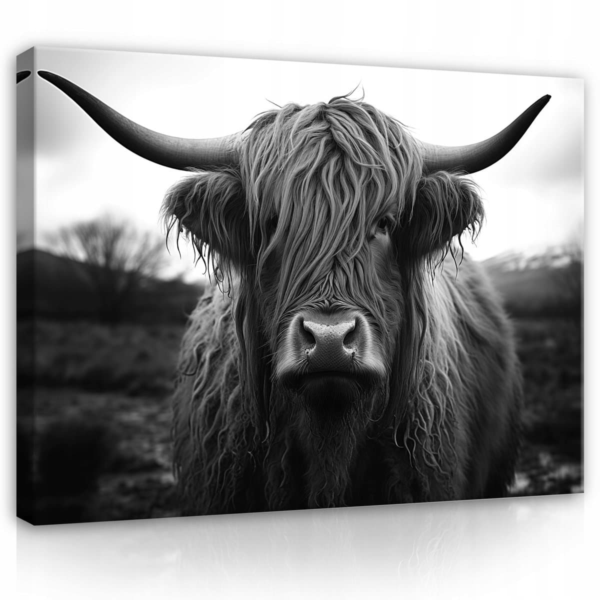WALLARENA - Canvas schilderij - 60x40 cm - moderne Schotse koe voor slaapkamer en salon