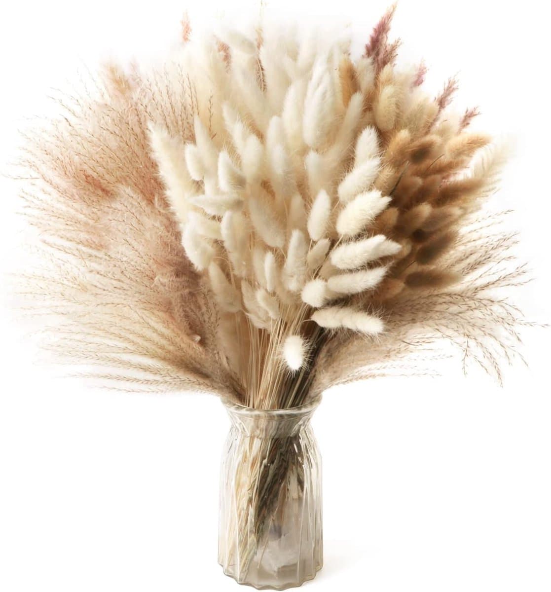 185 Stuks Gedroogd Pampasgras Stede: Natuurlijke Decoratie voor Hoge Vazen, Bruiloft en Boho Interieur
