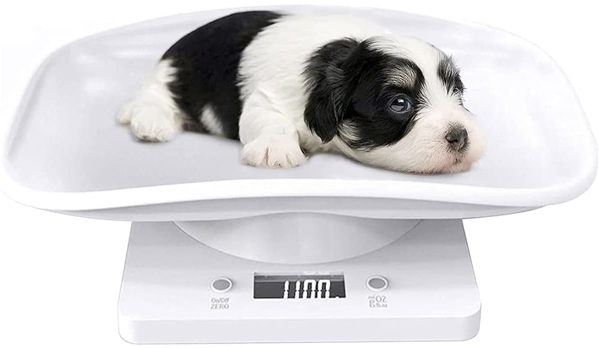 Digitale Huisdierweegschaal - Kleine dieren weegschaal - Gezondheid Monitoren - Nauwkeurige Meting - 30.5 x 26.3 x 5.2 cm - Wit
