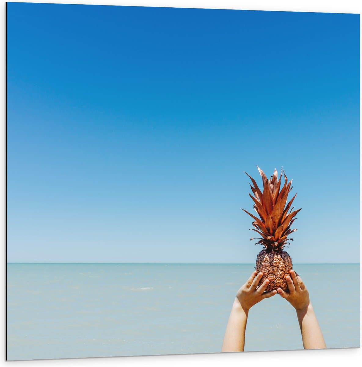 Dibond - Ananas boven de Zee - 100x100 cm Foto op Aluminium (Met Ophangsysteem)