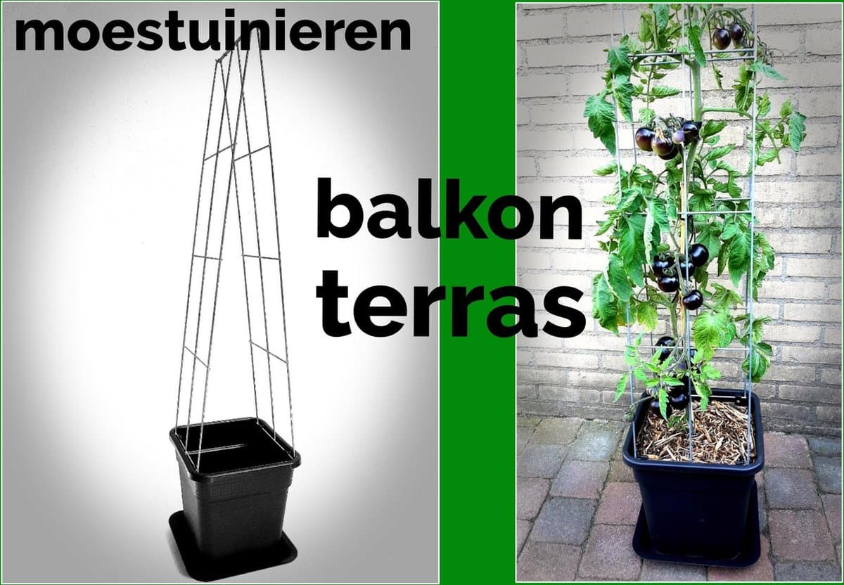 3 plantensteun voor planten - Plantenhouder - Plant Support - plantenklimrek punt 1250 mm lang met pot en waterschotel