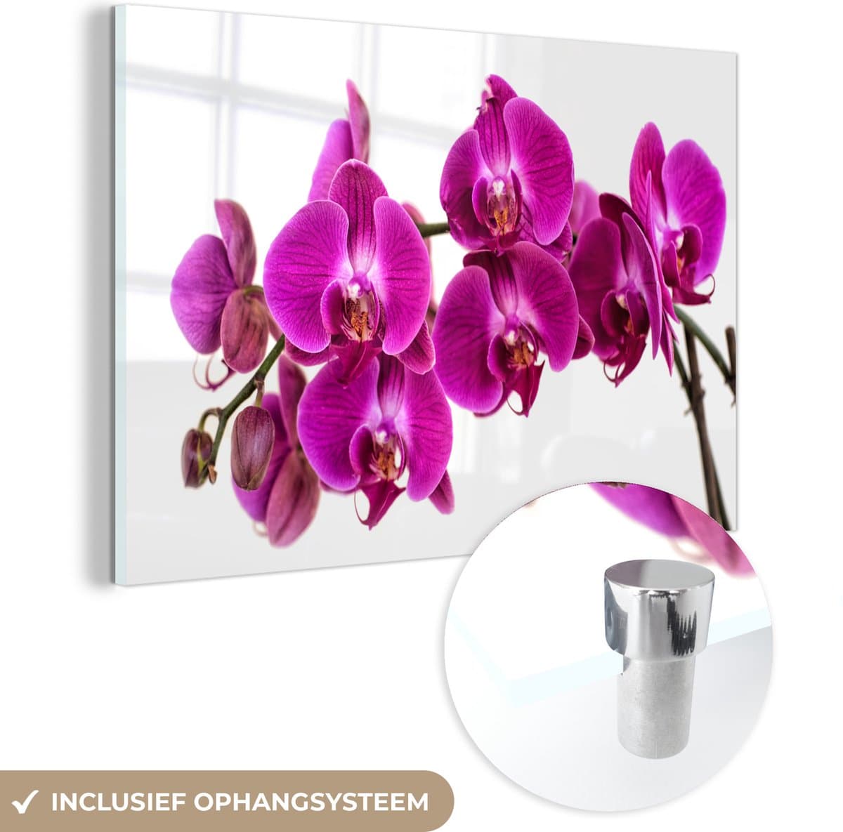 ® Glasschilderij 60x40 cm - Schilderij acrylglas - De bloeiende paarse orchideeën - Foto op glas - Muurdecoratie woonkamer - Wanddecoratie slaapkamer - Schilderijen