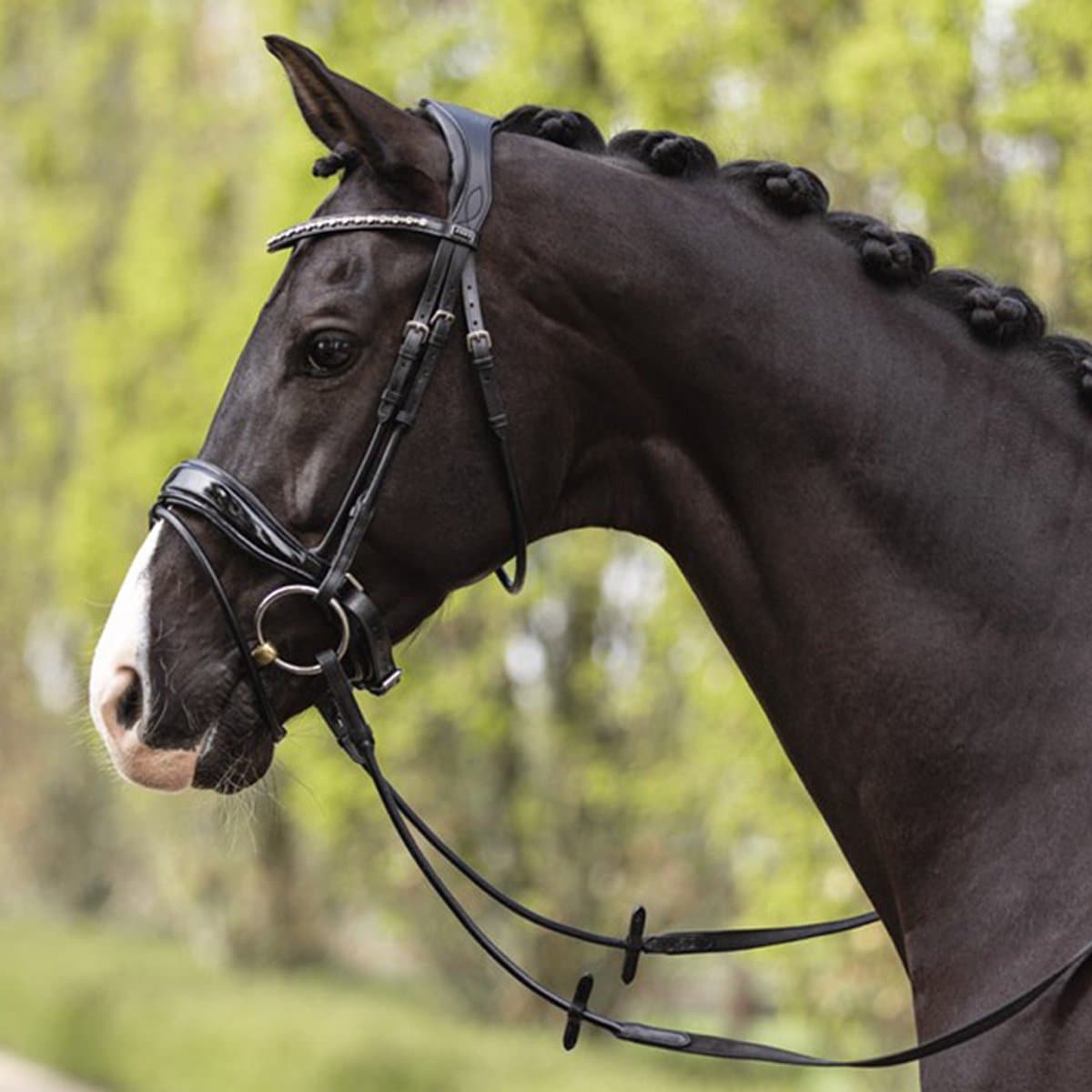 Anky Hoofdstel Anky Anatomical Shaped Noseband Zwart-zwart