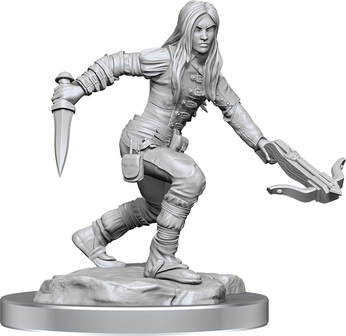D&D Nolzur's Marvelous Miniatures Half-Elf Rogues Female 2