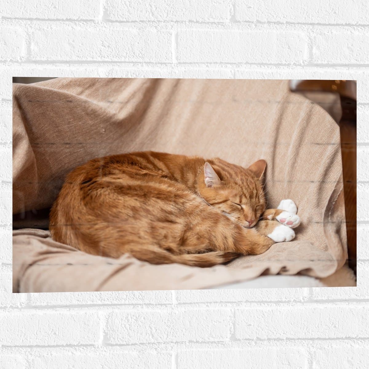 Muursticker - Roodharige Kat Rustend op Huiskamerstoel - 60x40 cm Foto op Muursticker
