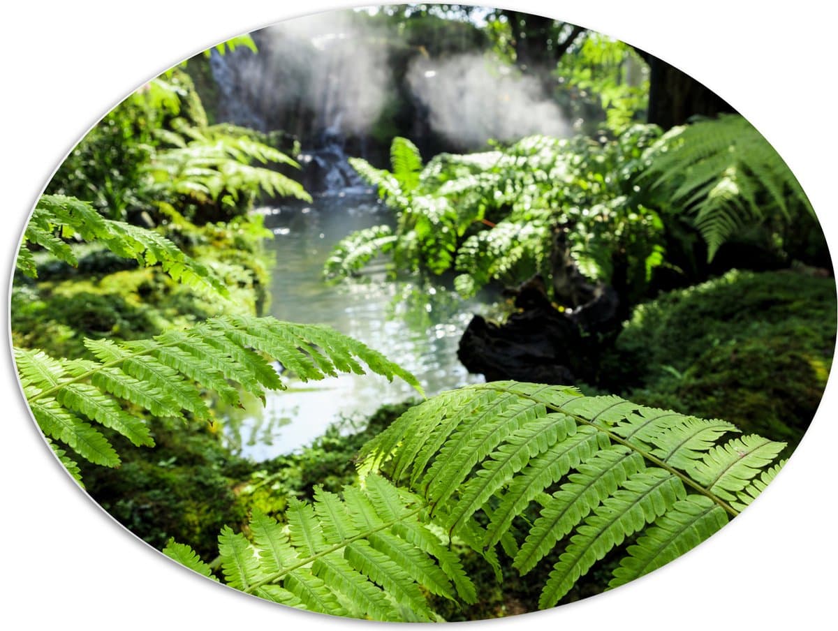 PVC Schuimplaat Ovaal - Groene Bladeren bij Water in Regenwoud - 96x72 cm Foto op Ovaal (Met Ophangsysteem)