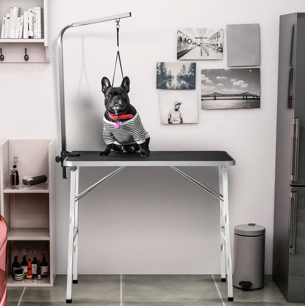 Wishdor Trimtafel voor honden - Verstelbare arm en bevestigingslijn - Opvouwbaar en krasbestendig - Voor hondensalon en thuisgebruik - Staal en aluminium - Zwart en wit - 90 x 60 x 76 cm