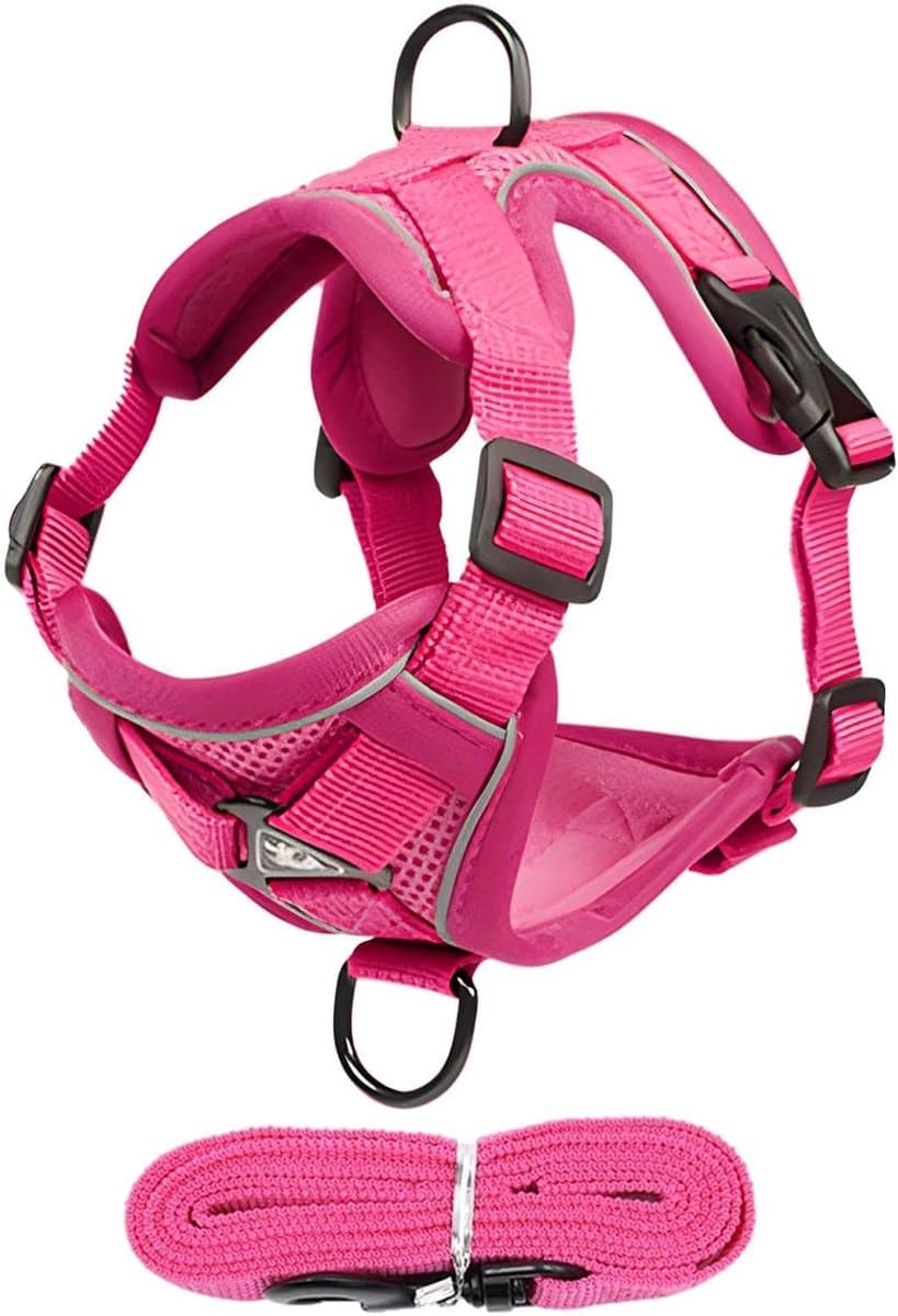 Kattenharnas - Huisdierentuigje - Veilig wandelen - Ontsnappingsbestendig ontwerp - XL - roze