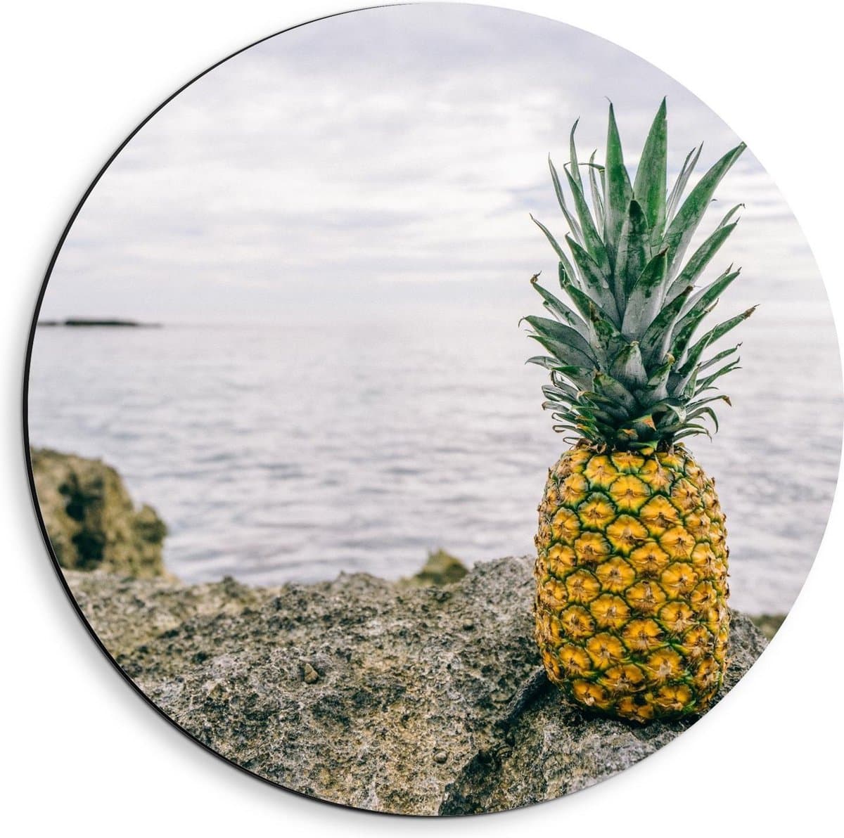 Dibond Wandcirkel - Ananas op een Rots bij de Zee - 40x40cm Foto op Aluminium Wandcirkel (met ophangsysteem)