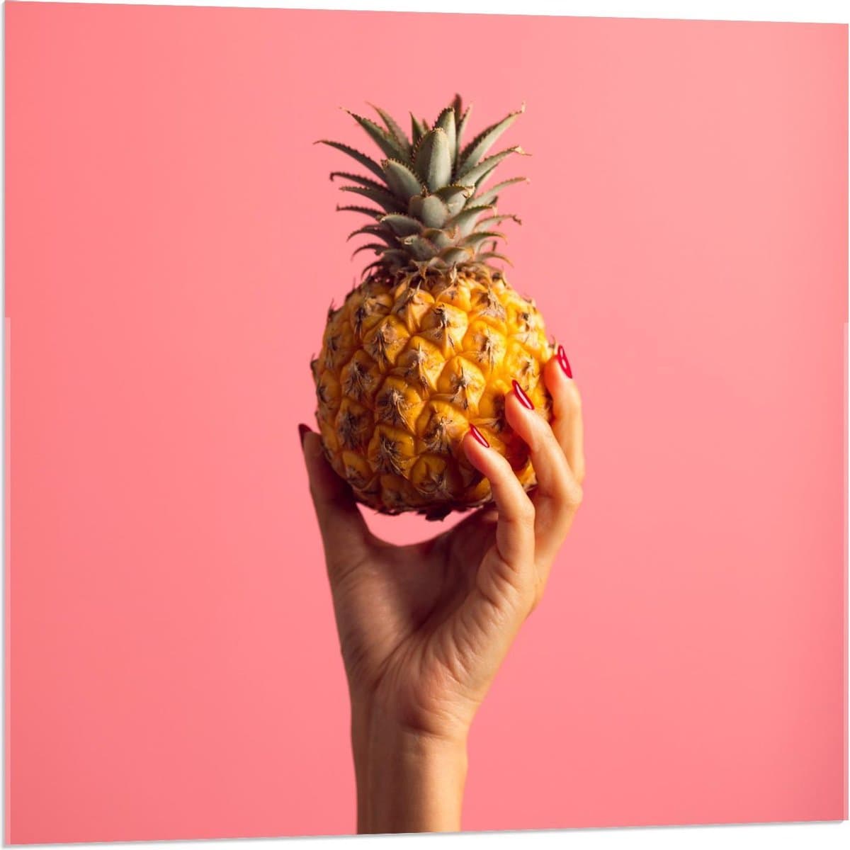 Acrylglas - Ananas in Hand op Roze Achtergrond - 80x80cm Foto op Acrylglas (Wanddecoratie op Acrylglas)