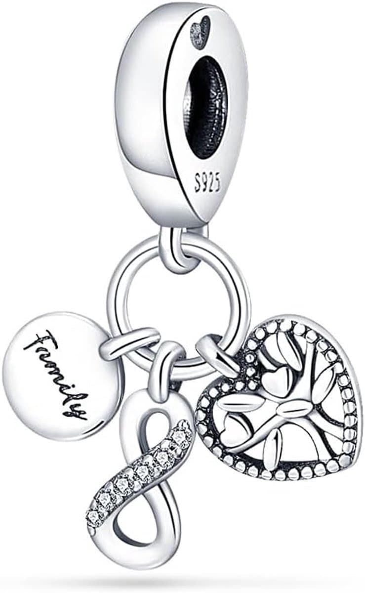 Hanger Dames 925 Sterling Zilver voor Armband Kraal Bedel geschikt voor Pandora Armband en Ketting, Compatibel met Europese Armbanden voor Vrouwen Meisjes Z1