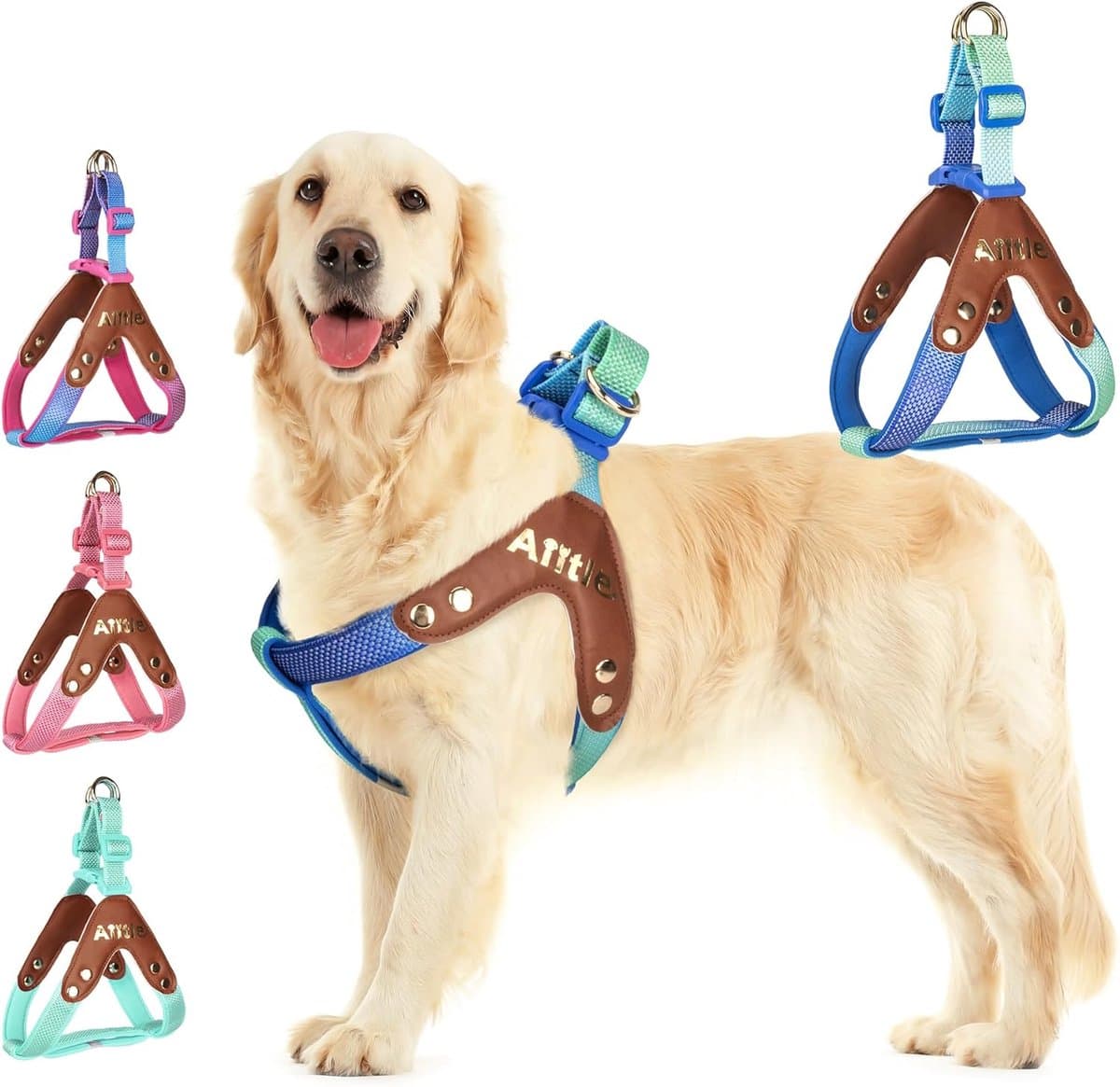 Honden Tuigje - Honden Harnas - Veilig Wandelen - Verstelbaar en Gewatteerd - Maat S - Blauw Verloop