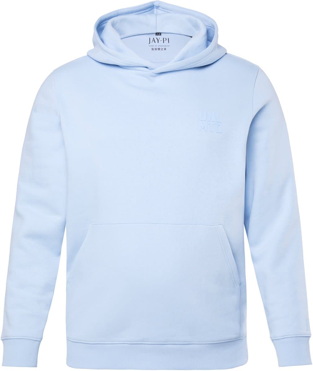 JAY-PI - Heren - Hoodie fitness capuchontrui borstprint - Lichtblauw - Maat L