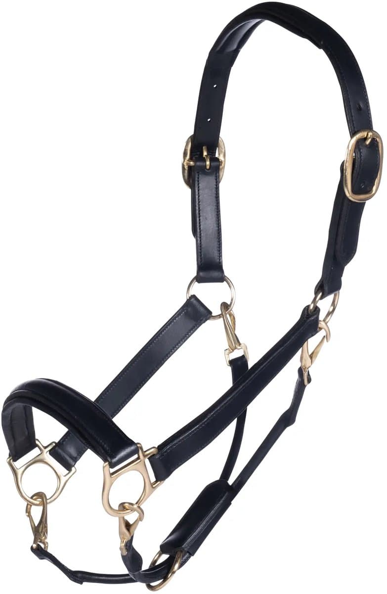 HKM Lederen Halster Gold-Full