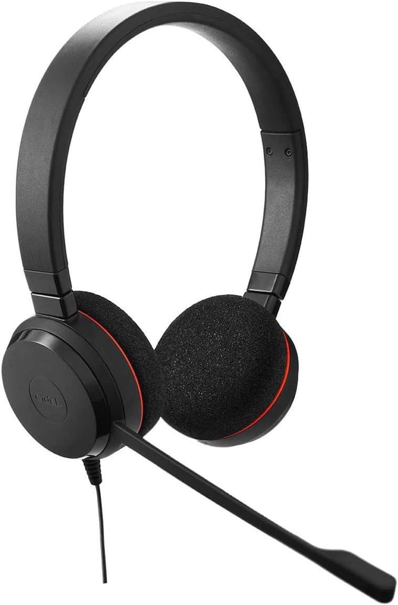 Professionele Headset - Oortjes - Online Gesprekken - Passieve Geluidsisolatie - 2 g - Zwart