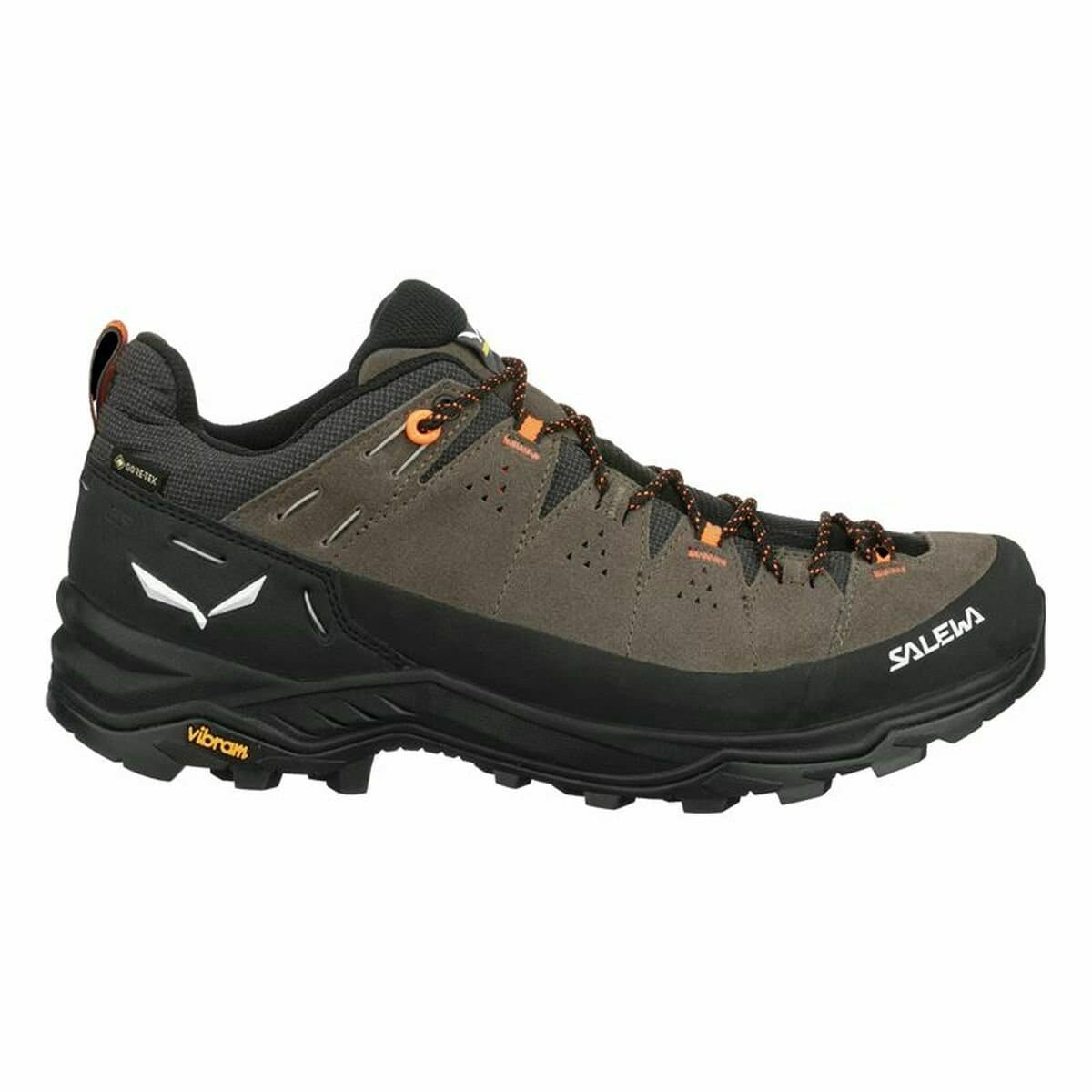 Sportschoenen Salewa ALP Trainer 2 GORE-TEX Berg Zwart - 44