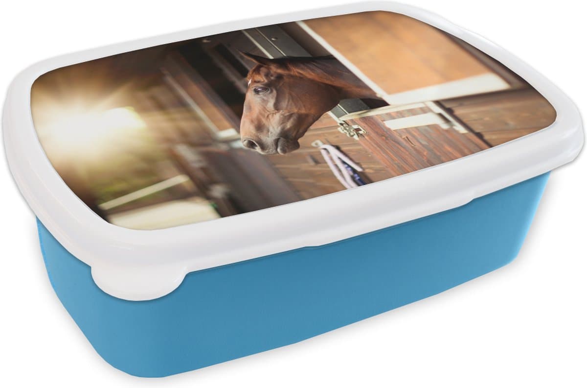 Broodtrommel Blauw - Lunchbox - Brooddoos - Paard - Stal - Zon - 18x12x6 cm - Kinderen - Jongen
