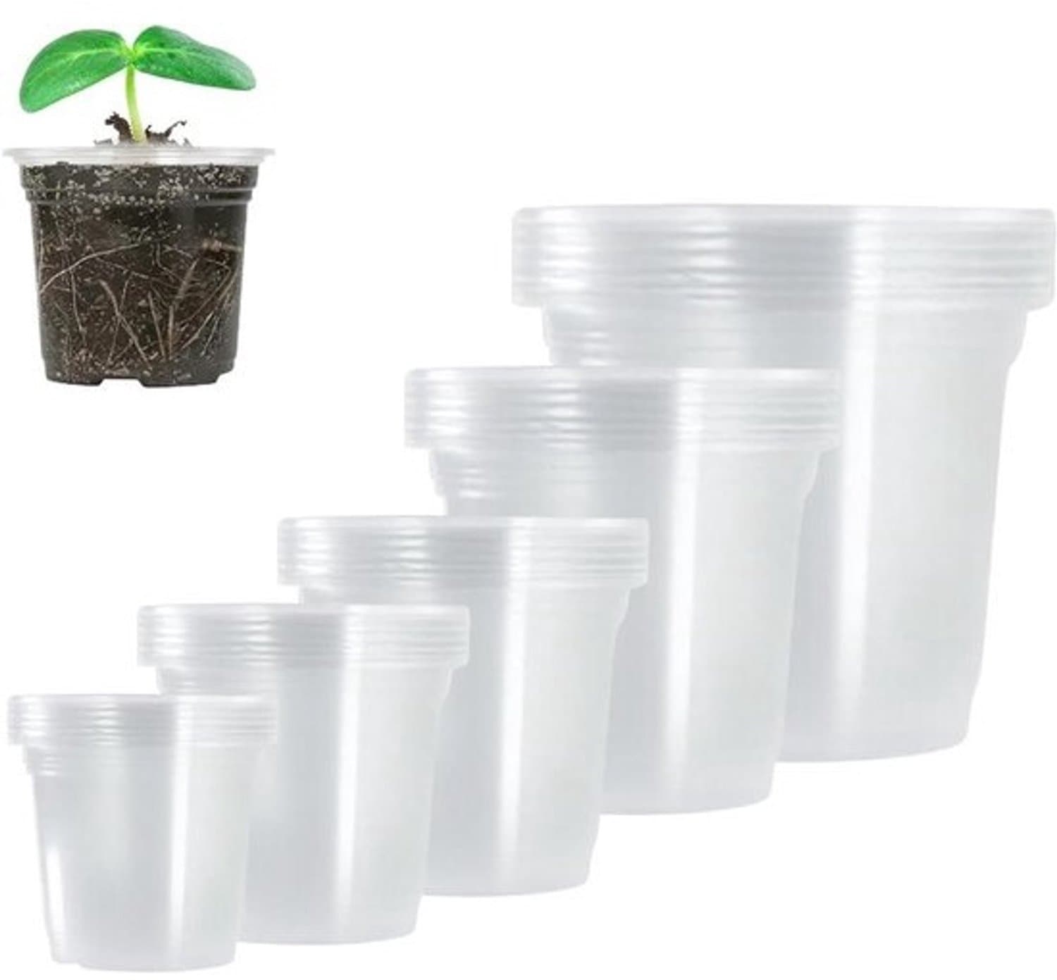 Plantenpotten Met Drainage - Kweekpotten Transparant - Zaaien En Kweken - Geoptimaliseerde Groei Monitoring