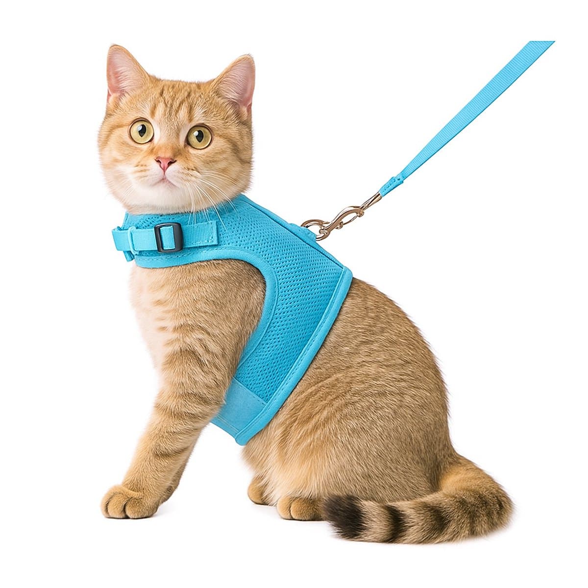 Zootic kattentuigje met looplijn - Kattenharnas blauw maat L - Halsomvang 24-32cm & Borstomvang 36-40cm