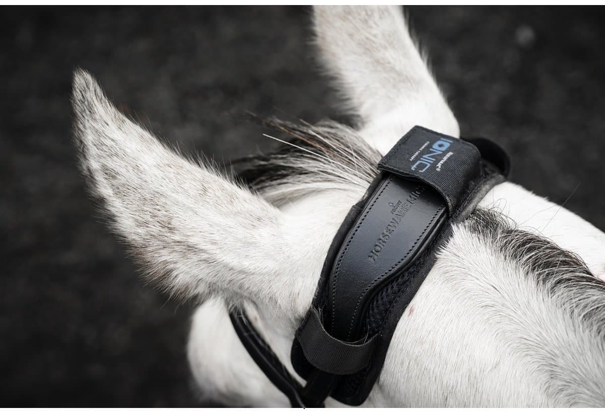 Horseware Ionic Therapy Poll Cover Zwart
