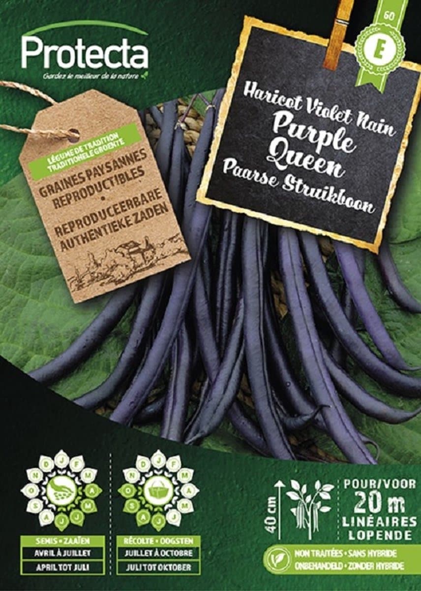Protecta Groente zaden: Struikboon PURPLE QUEEN