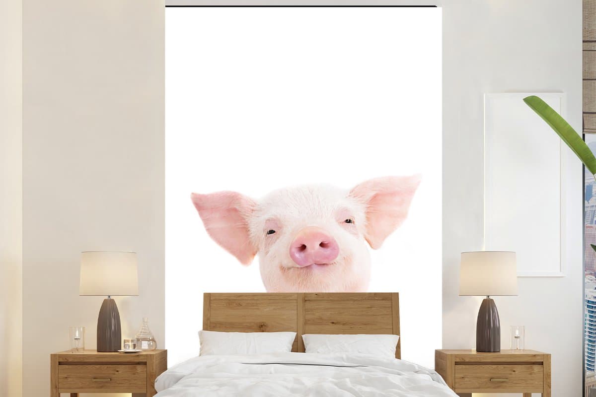 Behang - Fotobehang Varken - Roze - Dieren - Natuur - Breedte 160 cm x hoogte 240 cm - Behangpapier