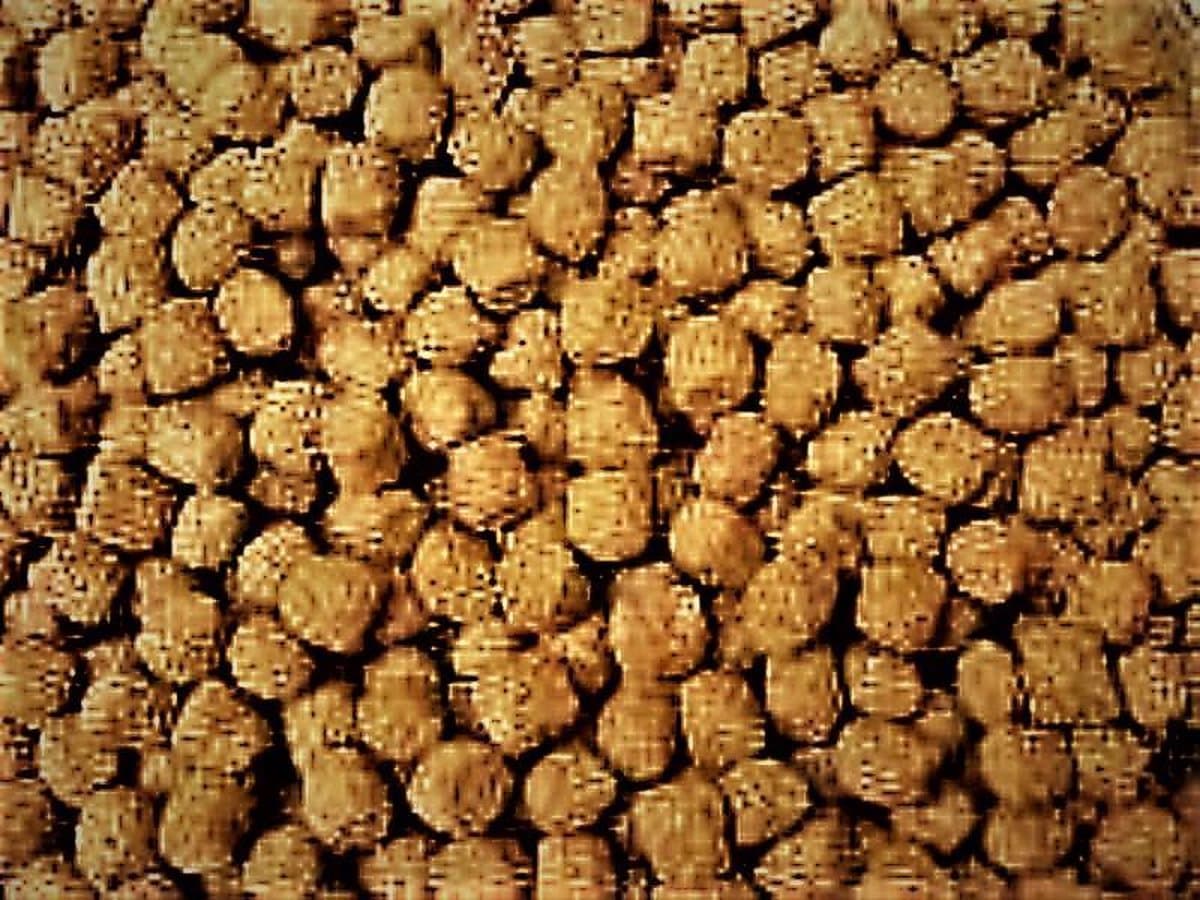 Wheat germ 6 mm ( 5L emmer )