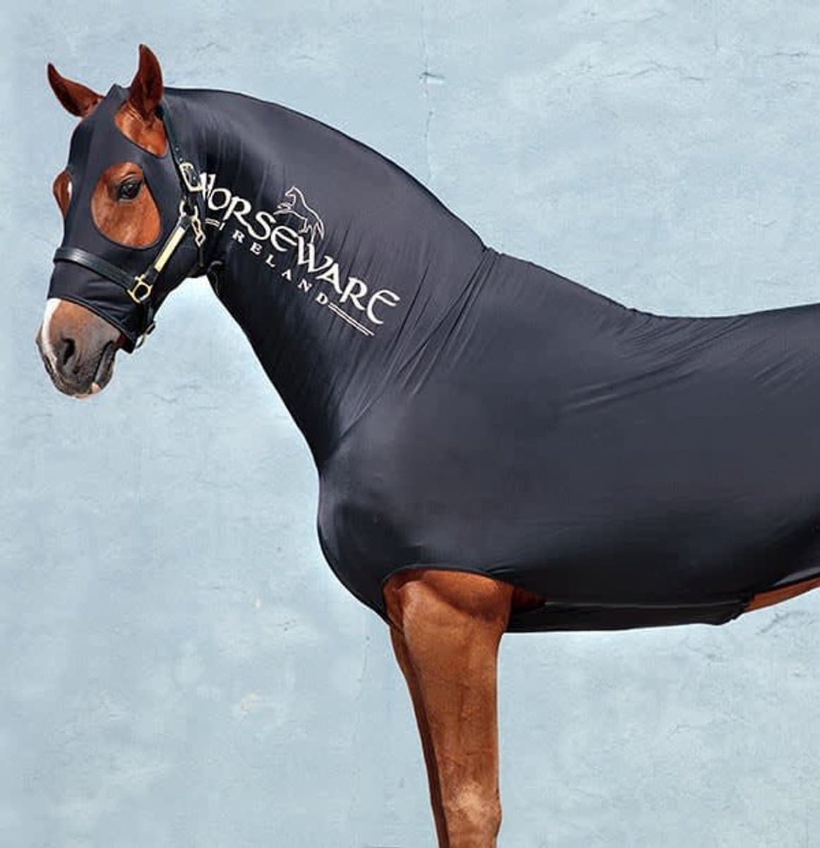 Horseware Rambo Slinky Full Body S: dekenmaat 5'6–5'9 / 115–125 cm Zwart