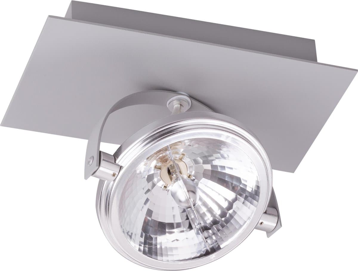 Berla Modern opbouwarmatuur Zilver - 50W G53 230V-50Hz - Incl. Trafo / Excl. Lichtbron