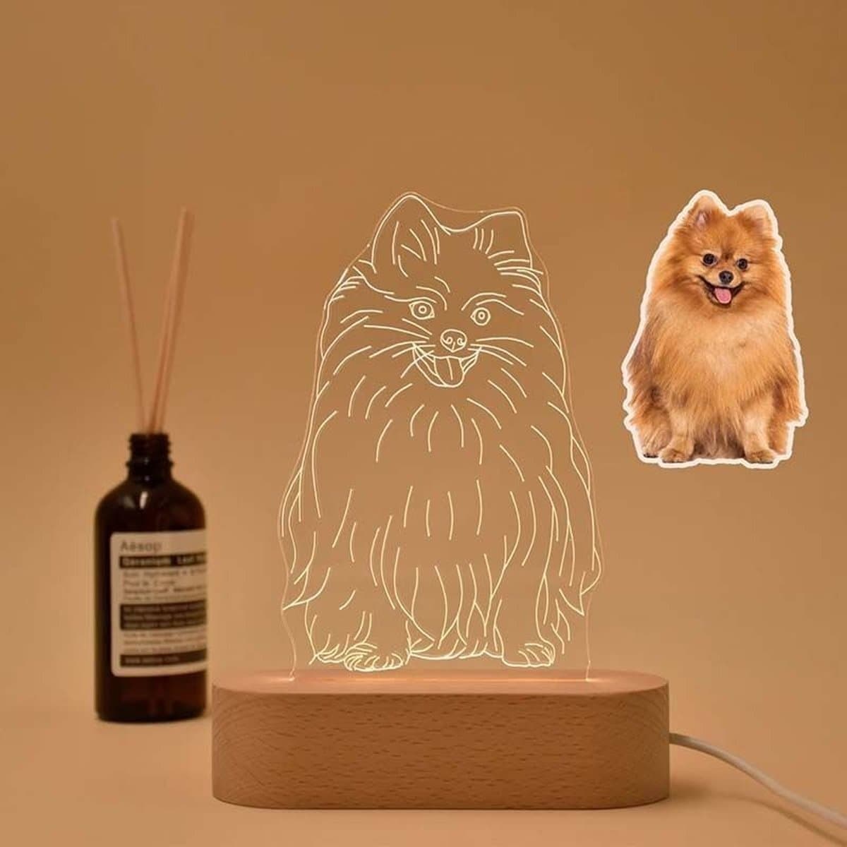 Hand getekende huisdier foto lamp - 3d - cadeau - gepersonaliseerd - met naam