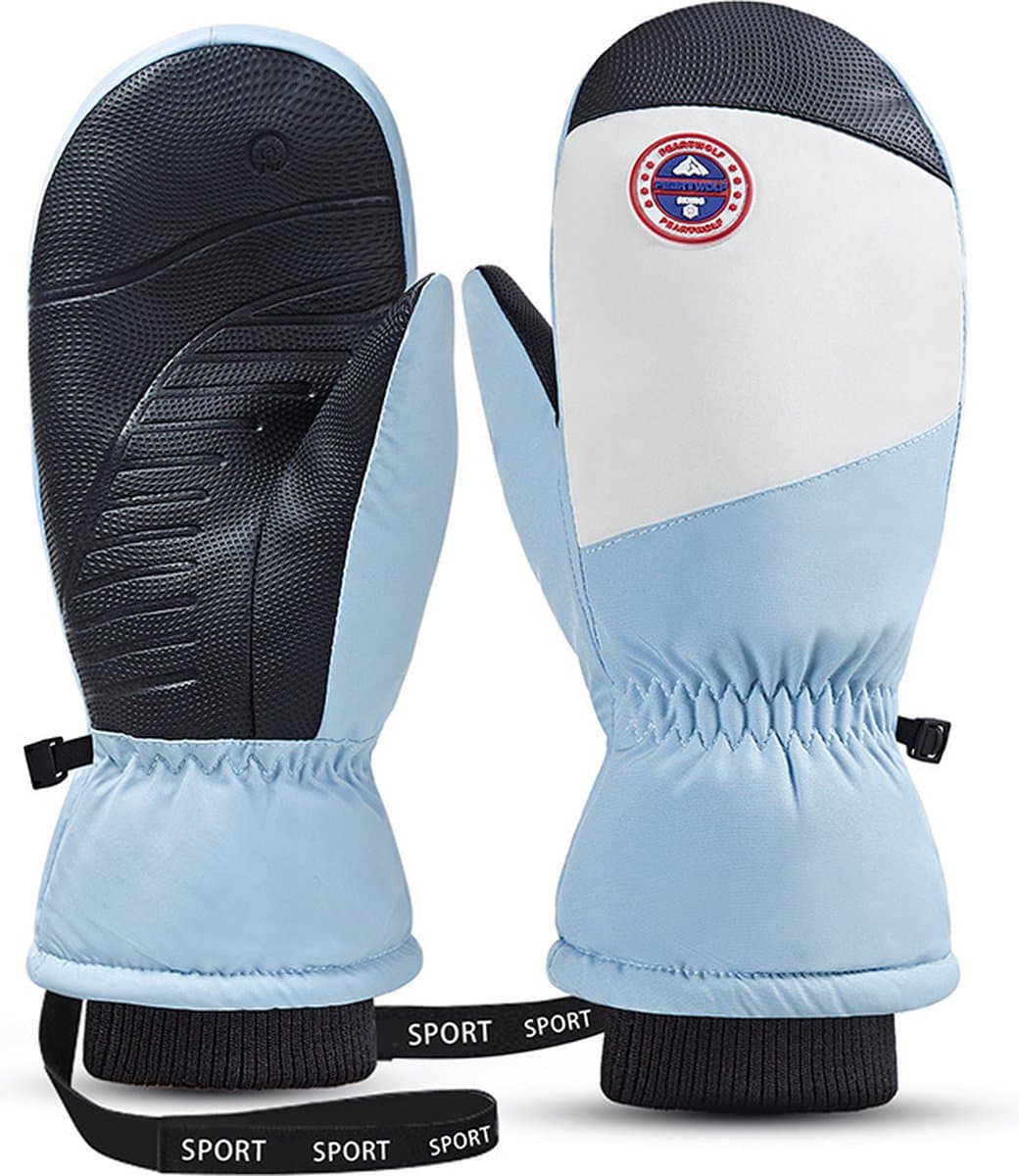 Wintersport Handschoenen Touchscreen - Anti-slip - Waterdicht - Skiën - Snowboarden - Blauw
