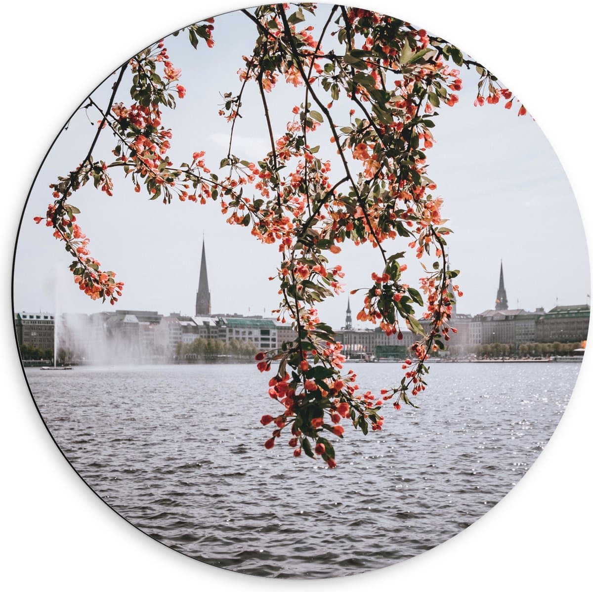 Dibond Muurcirkel - Roze Bloementjes bij het Water - 60x60 cm Foto op Aluminium Muurcirkel (met ophangsysteem)