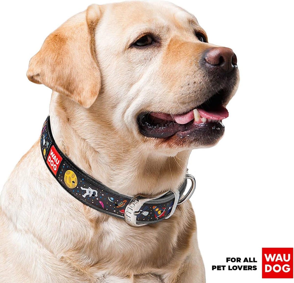 WAUDOG Nasa Halsband / Hondenhalsband - Echt Leder - Zwart - Full Colour Print - Breedte: 25 mm - Nekomtrek: 37 - 48 cm (GELIEVE ALVORENS BESTELLEN OPMETEN)