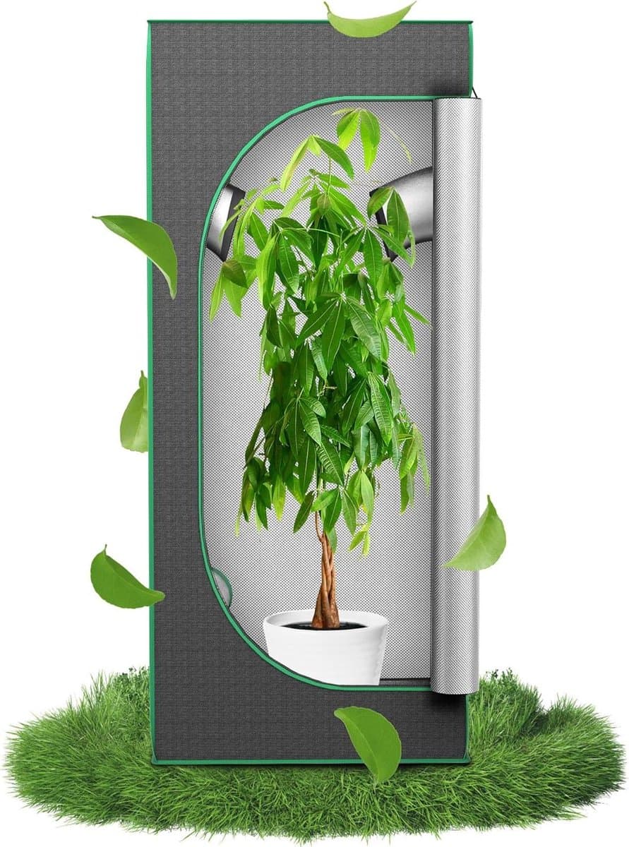 Groeitent - Kweekkas binnen - Planten telen - Reflecterende binnenvoering - 60 x 60 x 140 cm - Zwart