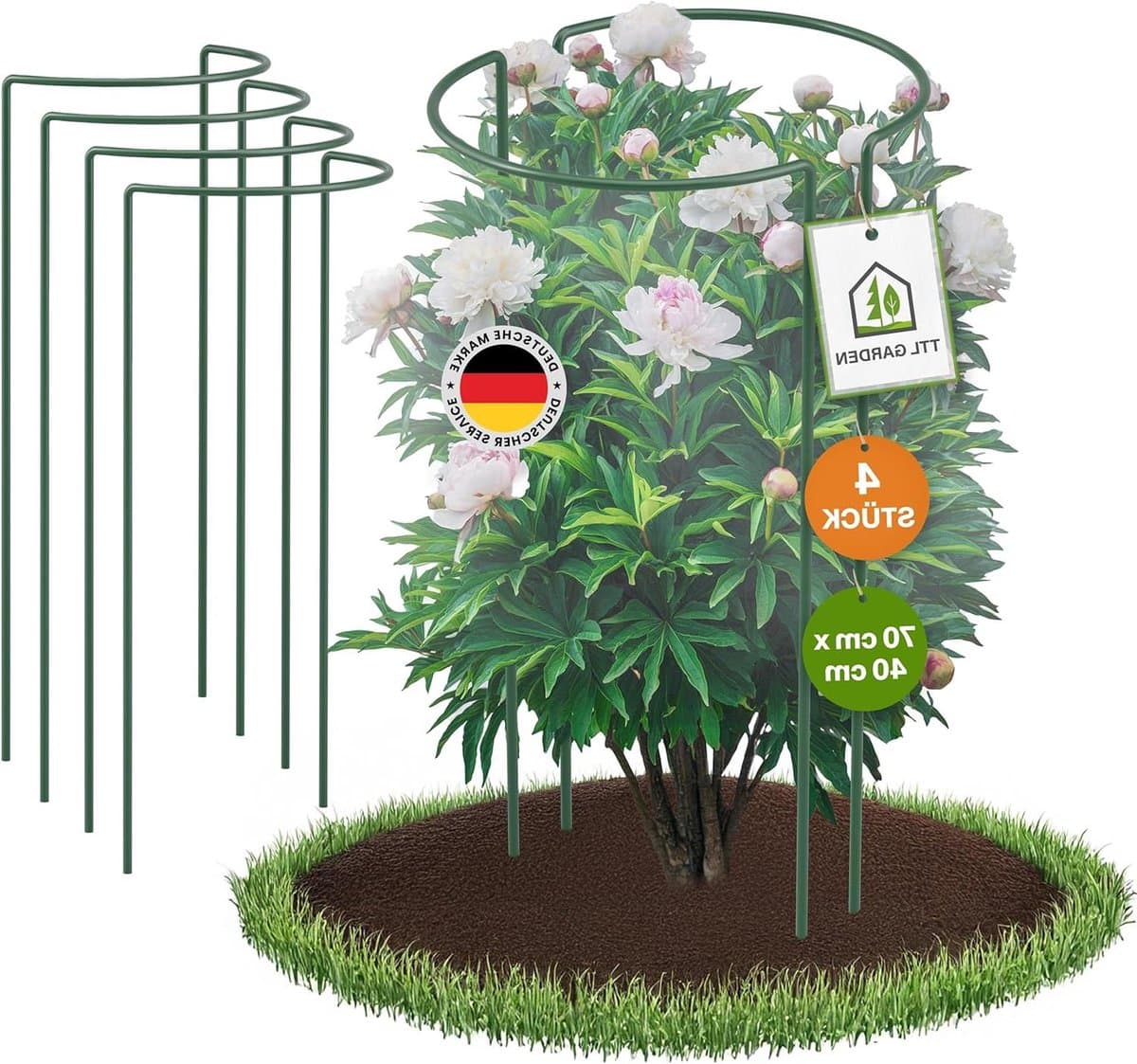 Plantensteunen Set - Bloemhouders - Planten Ondersteunen - Roestvrij Staal Coating - 70cm Hoog - Groen