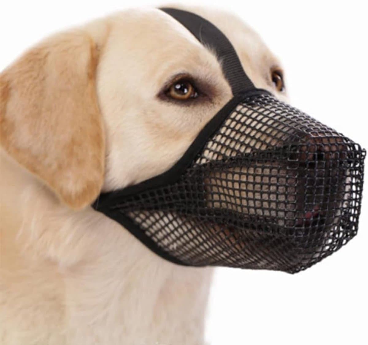 Muilkorf voor honden, ademend, van mesh, verstelbaar, antislip, anti-bijt, voor wandelen, training, dierenartsen (M) - ShopVlot