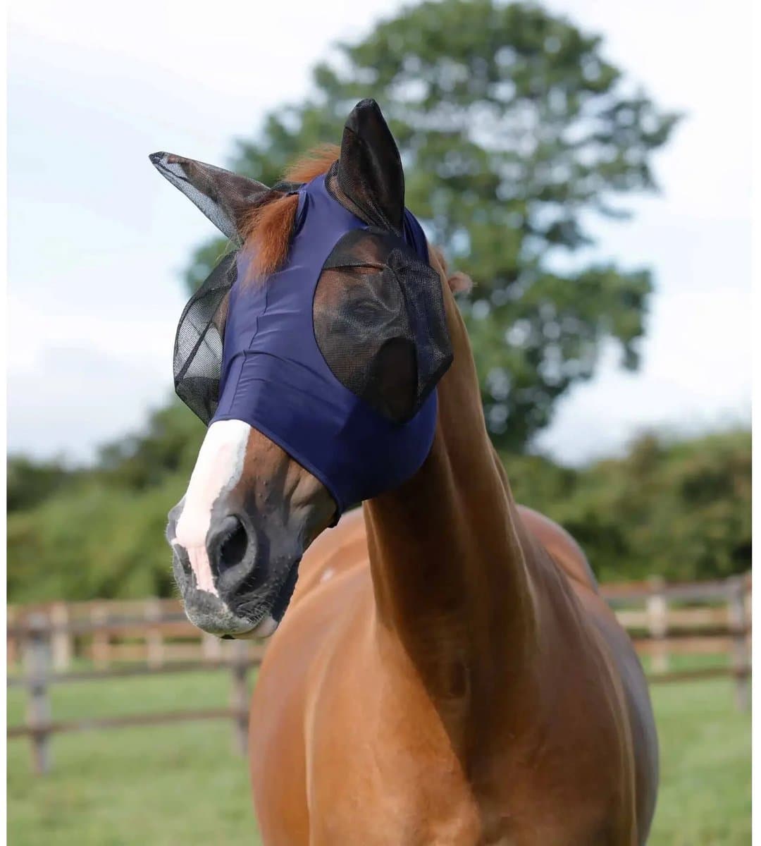 Anti-Vliegenmasker voor paarden Premier Equine Comfort Tech Lycra