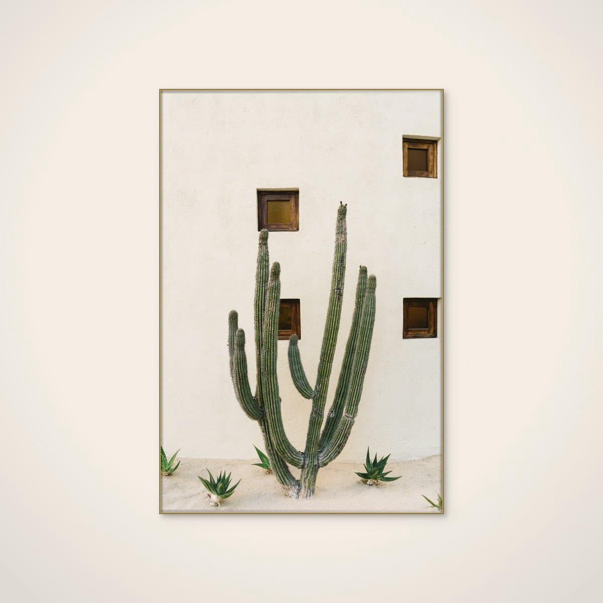 Akoestisch schilderij - 80 x 120 cm - Desert Cactus Garden van Bethany Young - Natuurlijke wanddecoratie - goud textielframe