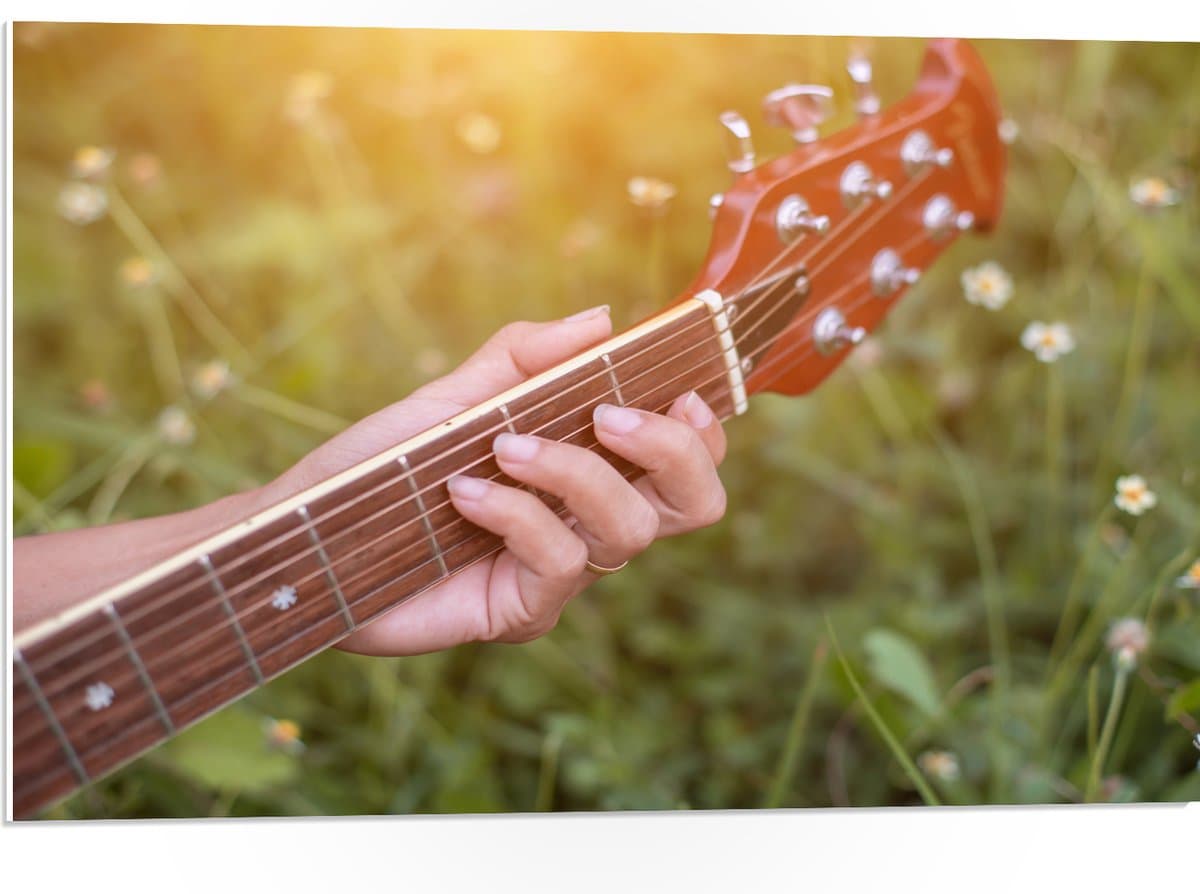 PVC Schuimplaat- Close-up van Vrouwenhand op Bruine Gitaar in Bloemenveld - 75x50 cm Foto op PVC Schuimplaat