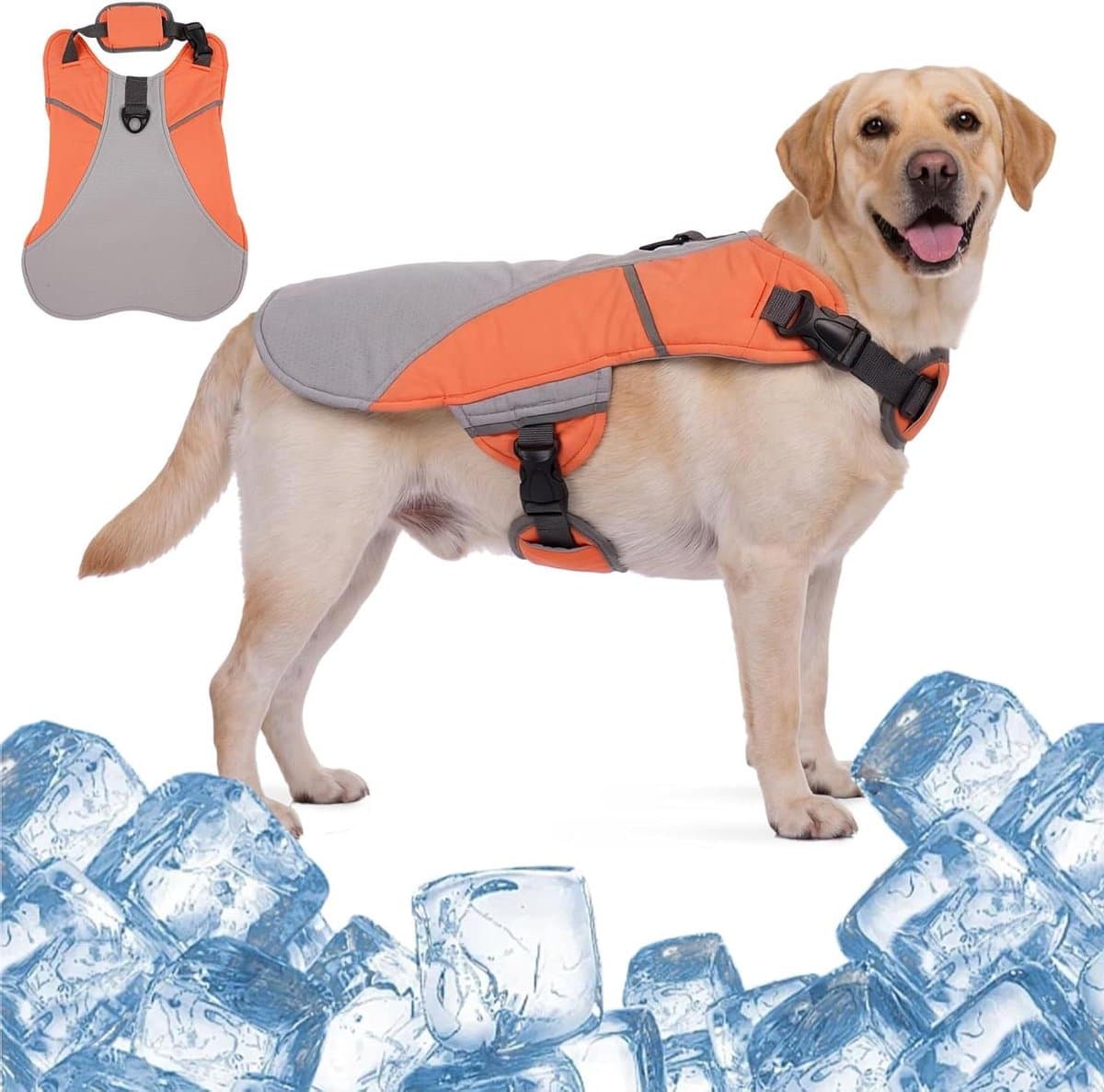 Honden Koelvest - Zomerjas Hond - Hond Koel Houden - Geïntegreerd Harnas - Maat M - Oranje