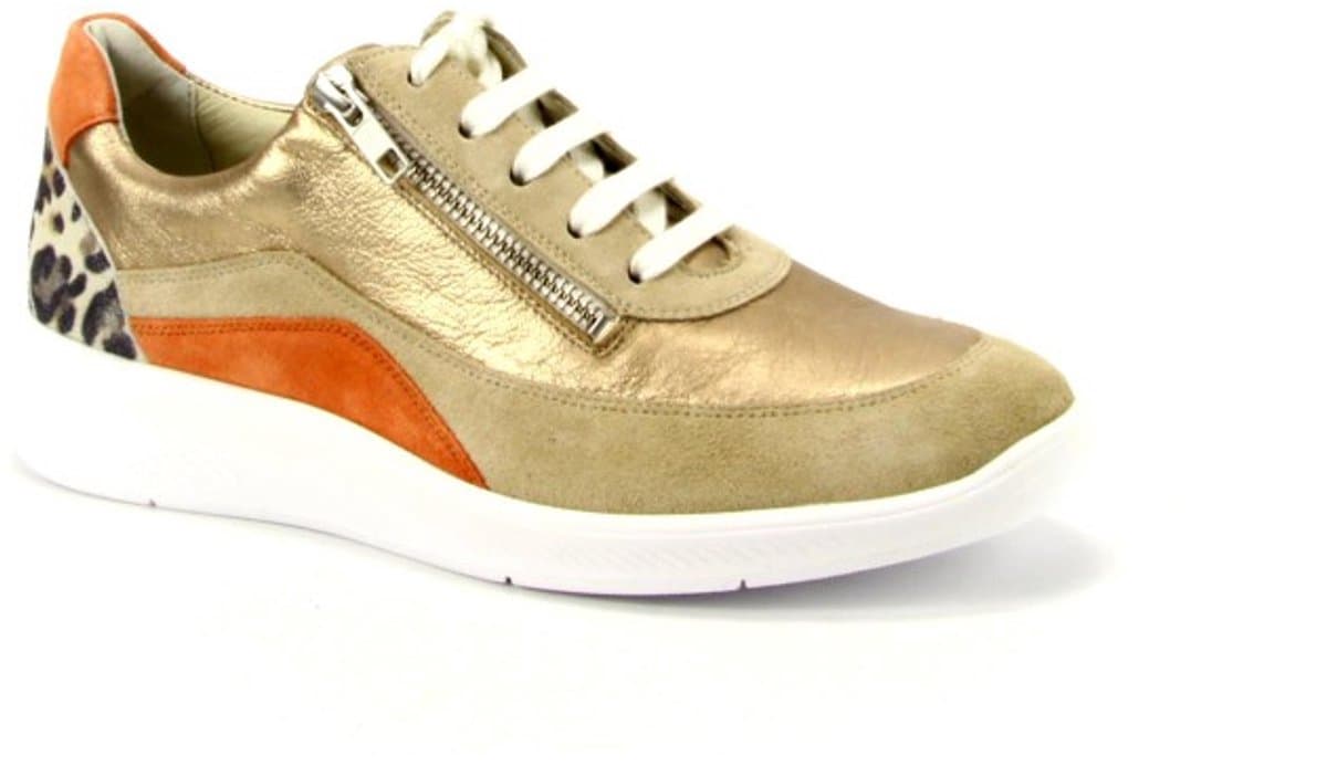 Halea 40613