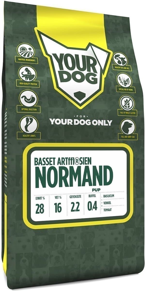 Yourdog basset artesian pup - 3 KG
