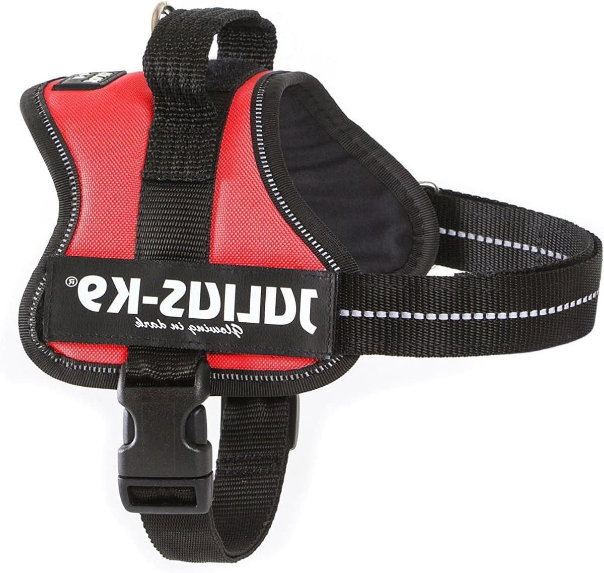 Hondentuig - Veilig Harnas - Comfortabel Wandelen - Met Handvat - Maat L - Rood
