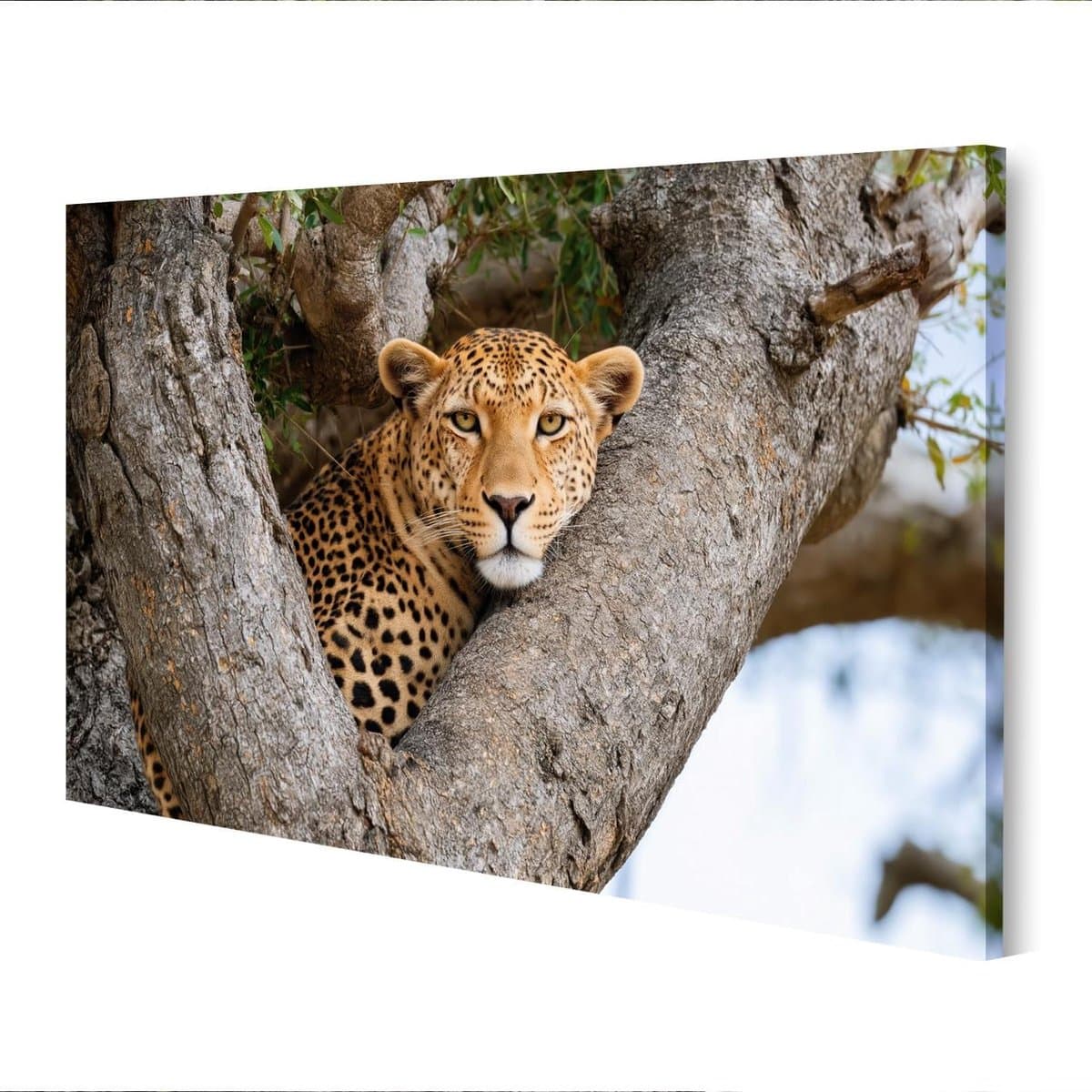 Luipaard Canvas - Muurdecoratie Luipaard - Woonkamer Decoreren - Echte Canvasstructuur - 100x57cm - Natuurkleuren